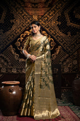 Vedika Grey Jimmi Choo Zari Woven Saree